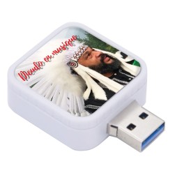 Toutes les musiques de la carrière de Dieudonné en clé USB