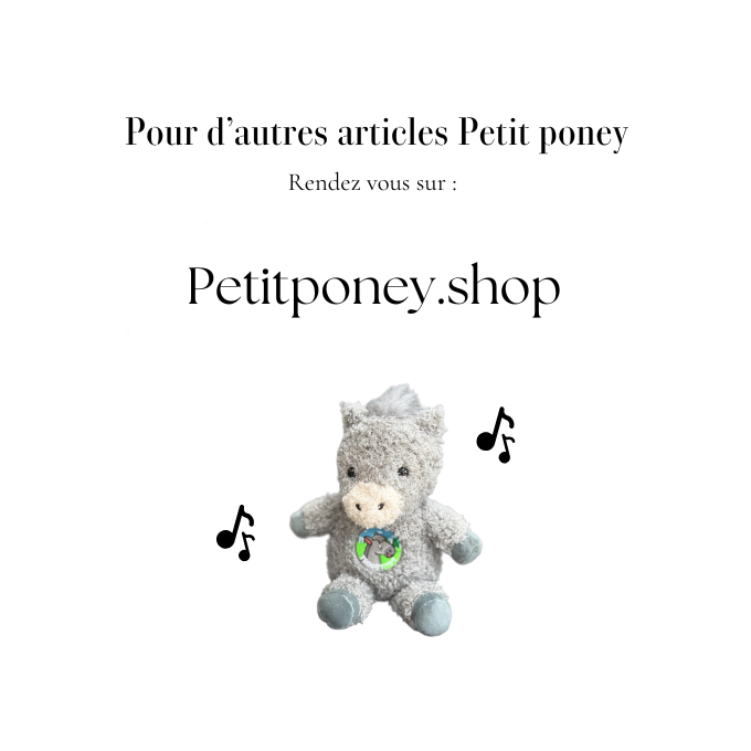 Petit Poney Peluche